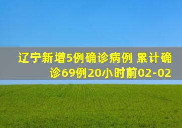 辽宁新增5例确诊病例 累计确诊69例20小时前02-02